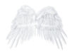 Picture of ANGEL WINGS WHITE 53X37CM